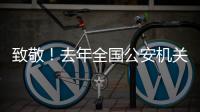 致敬	！去年全国公安机关382名民辅警因公牺牲