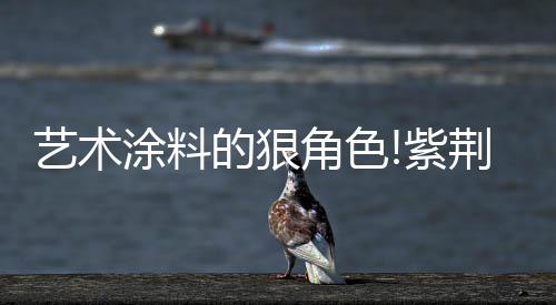 也是紫荆我一直以来的信仰