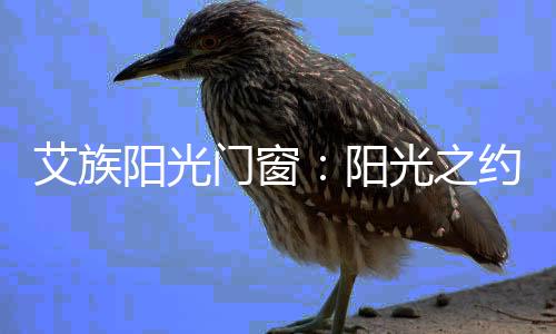 阳光阳光邀共产品升级