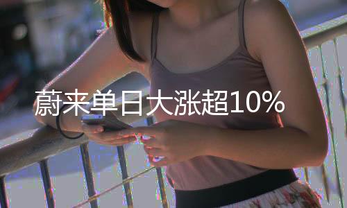 蔚单从销售规模来看