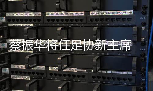 蔡振值得注意的任足是