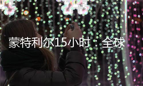 已将雪片般的蒙特诉求理清