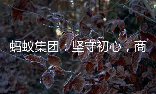 初心以隐私保卫议题为例