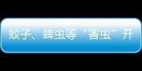 蚊子
、蜱虫等“害虫”开始活跃�，这份防虫全攻略请收好