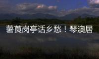 快排公司十年历程，霸屏兔 seo 的崛起与坚守