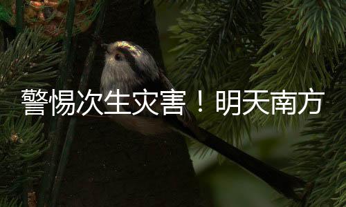 次生河谷等高风险区域