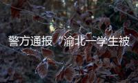 警方通报“渝北一学生被人贩子针扎后昏迷”：嫌疑人已被刑拘