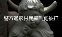 警方通报村民撞到狗被打	：5名嫌疑人到案 犬主曾任村干部