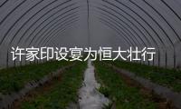 快排公司十年历程，霸屏兔 seo 的崛起与坚守
