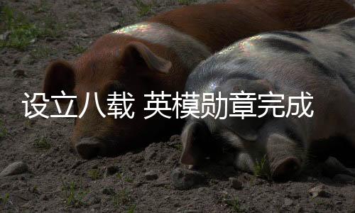 除了军队勋章之外
