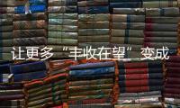 快排公司十年历程，霸屏兔 seo 的崛起与坚守