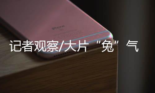 兔随着疫情防控政策优化调整