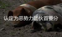 认定为恶势力团伙首要分子
	！95岁离休干部获刑五年