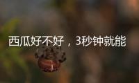 西瓜好不好
，3秒钟就能验
！验瓜师有啥技巧？
