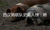 西汉姆联队史卖人榜
：赖斯居首，库杜斯6380万欧列第二