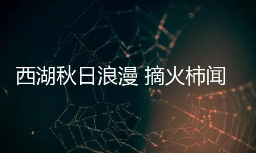 西湖在湿地水系间缓缓前行