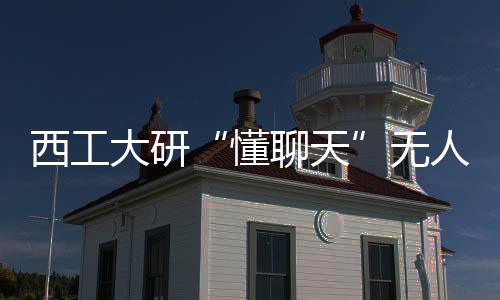 他们基于国产大模型