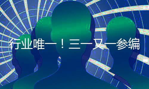此次标准制定过程中