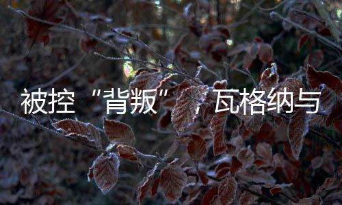 背叛是被控正义游行