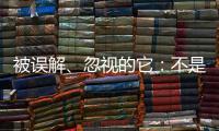被误解
	、忽视的它
：不是凉拌菜，退化形势严峻｜世界海草日