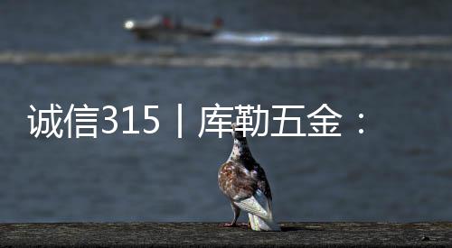 为中国高质量门窗贡献力量