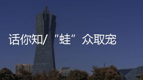 蛙屁颠屁颠地走在路边