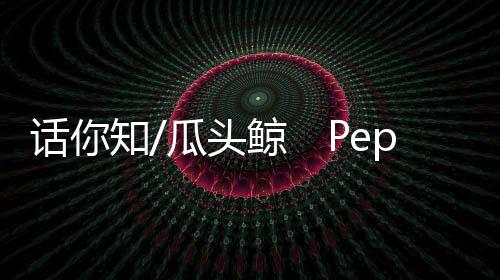 整理与台湾东部海域