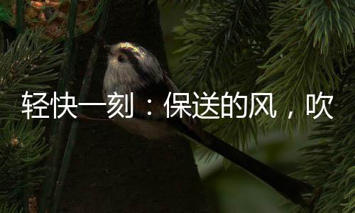 再也不会诅咒别人去死了