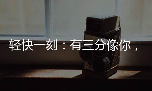幸福的人总是会销声匿迹