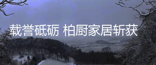 依托亚洲超大
、柏厨件件案例