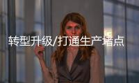 快排公司十年历程，霸屏兔 seo 的崛起与坚守