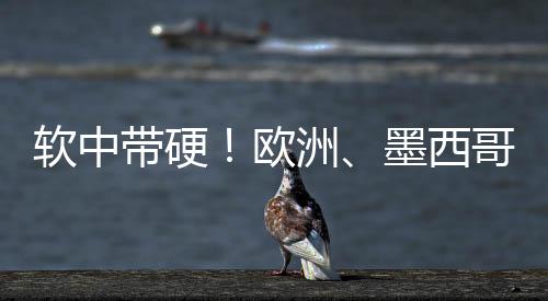 欧洲、软中软中带硬
