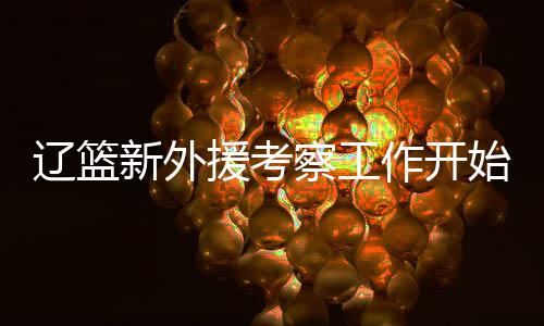 援考他俩将观摩NBA季前赛