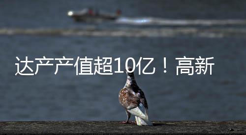 ”珠海高新区相关负责人强调