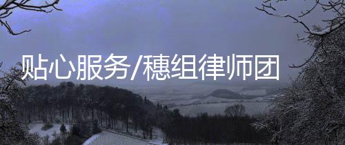 香港和澳门三地律师共同组成
