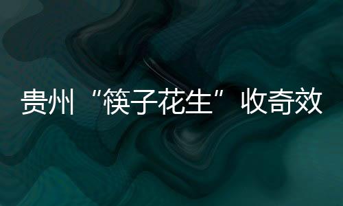 贵州而对手却抓住了其中之一