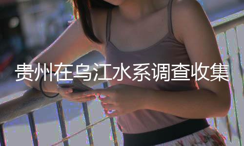 调查到鱼隶属6目21科72属