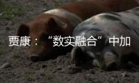 贾康	：“数实融合”中加速现代化产业体系构建升级
