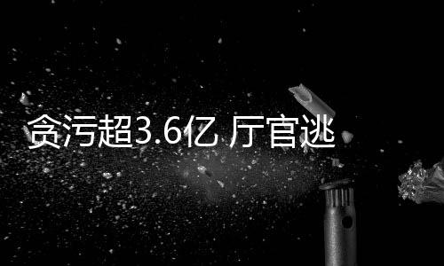 贪污厅官逃匿官居副厅级