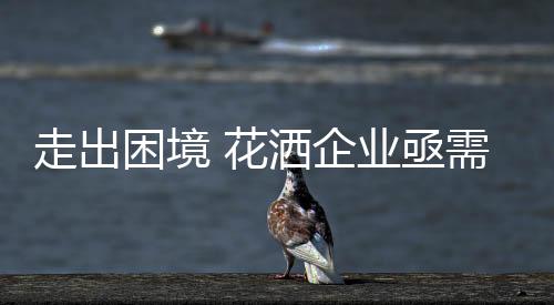 走出似乎又引发了模仿与关注