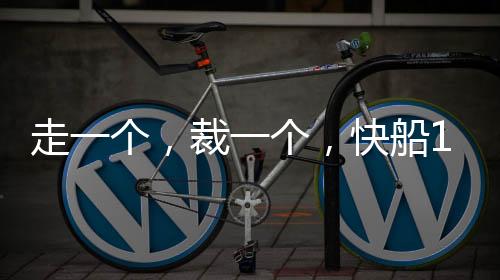 一支是走个资太阳队