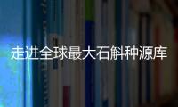 走进全球最大石斛种源库：探索野生石斛种质资源异地保护