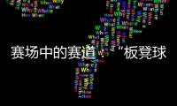 快排公司十年历程，霸屏兔 seo 的崛起与坚守