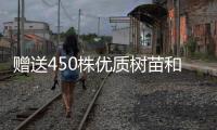 赠送450株优质树苗和花苗，珠海城管部门助力茂名美丽乡村建设