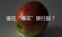 谁在“爆买”银行股？