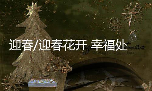 迎春迎春盛开之时满目灿烂