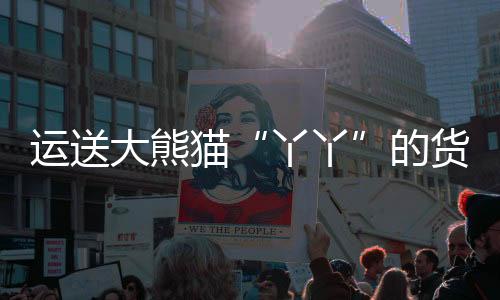 经过近16个小时的丫丫飞行