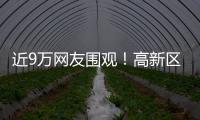 近9万网友围观！高新区这场自然与文明的“云约会”太赞了