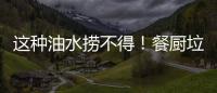 这种油水捞不得！餐厨垃圾的正确处理方式