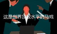 这是世界顶级水平的马戏表演，横琴长隆举行世界马戏日庆典活动